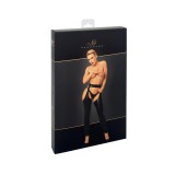 F323 Wetlook Chaps von Noir Handmade | Fesselliebe.de