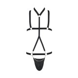 Schwarzes Harness Set 039 von Passion | Fesselliebe.de