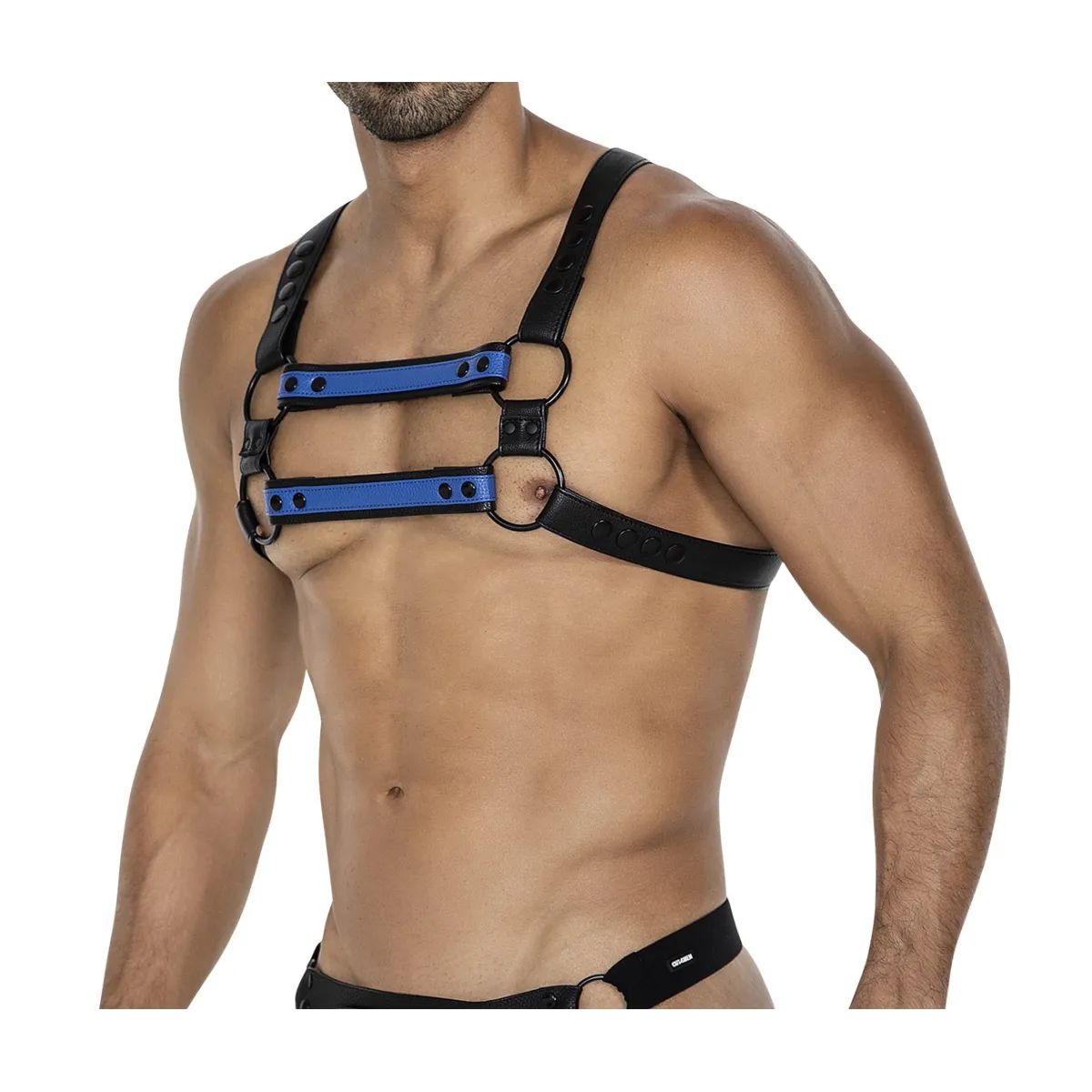 Schwarz/blauer Brust-Harness 06 von Cut4Men | Fesselliebe.de