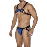 Schwarz/blauer Brust-Harness 06 von Cut4Men | Fesselliebe.de