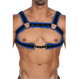 Schwarz/neoblauer Brust-Harness 05 von Cut4Men | Fesselliebe.de