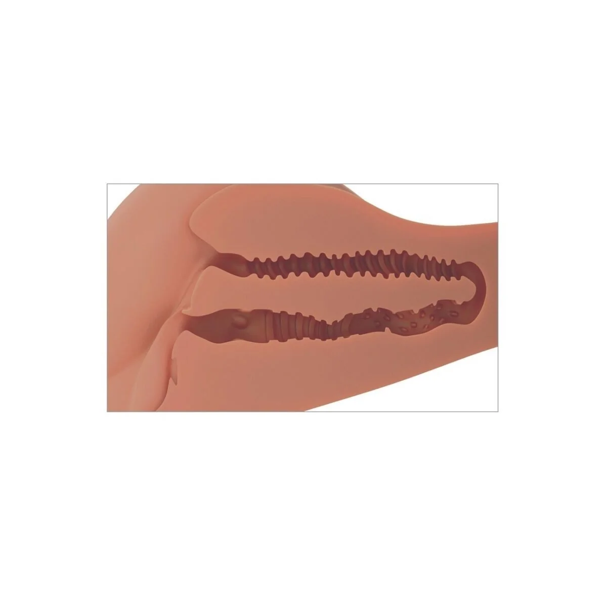 Realistischer 360°-Po- und Vagina-Masturbator von Pdx Plus+