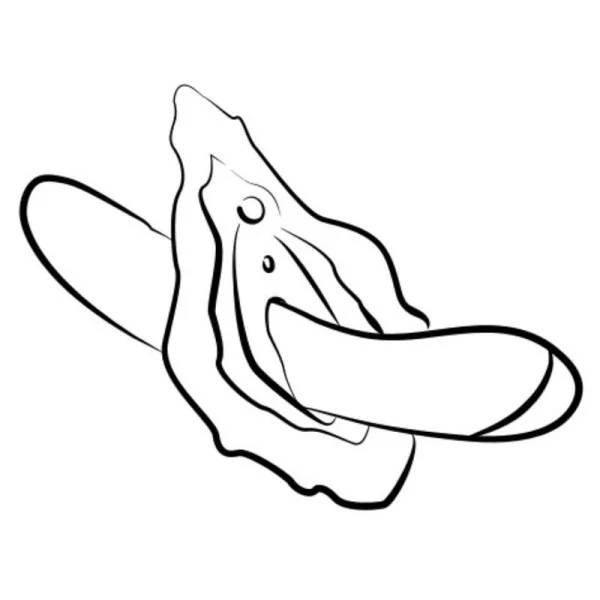 Hype Multifunktions-G-Punkt-Vibrator Rot von Romp