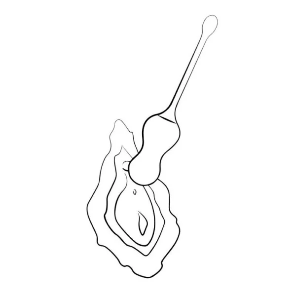 Cello Multifunktions-Vibrations-Ei Türkis Fernbedienung von Romp