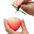 Pink Peach Klitoralsauge von Romp
