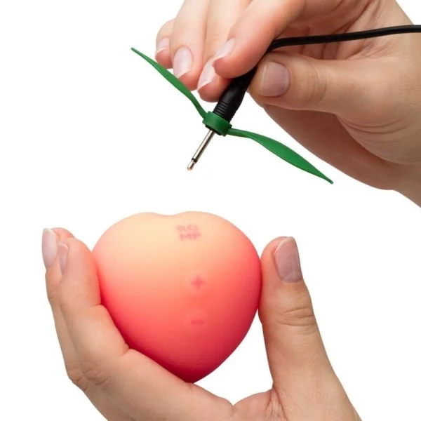Pink Peach Klitoralsauge von Romp