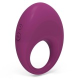 Wiederaufladbarer Ring von Dylan, Kompatibel mit der Drahtlosen Watchme-Technologie von Coverme | Fesselliebe.de