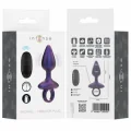 Michael Vibrierender Analstecker Modell 2 Fernbedienung von Intense Anal Toys