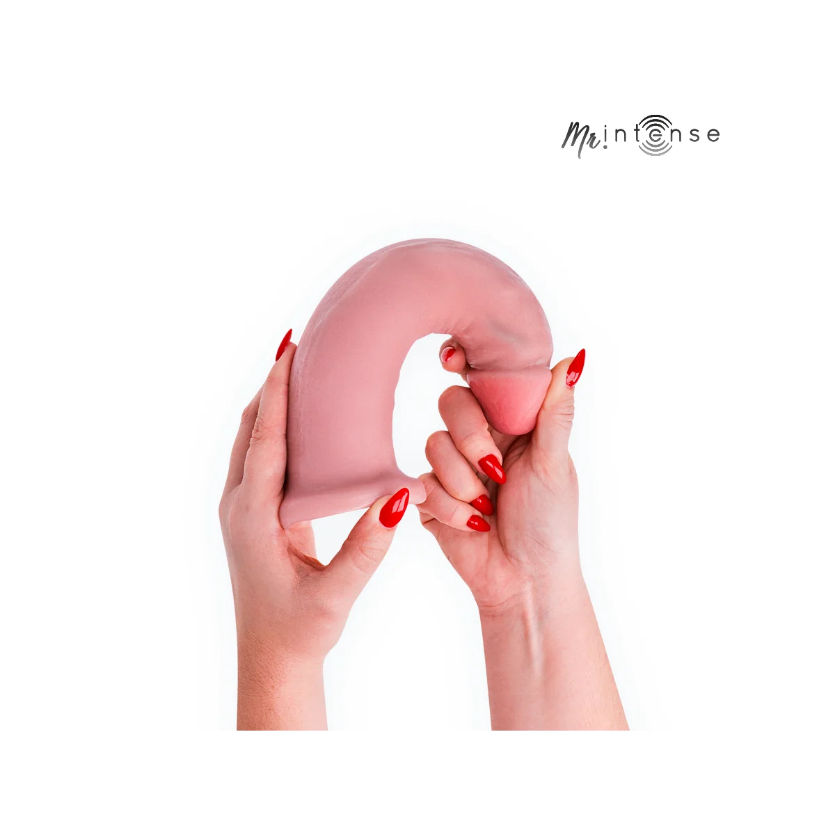 Mr Big Terence Dildo 22,5 cm -Ø- 5,6 cm von Mr. Intense Dildos