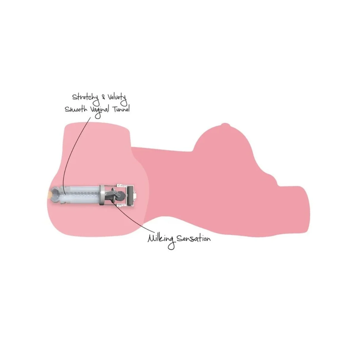 Melkende Mega-Schlampe-Torso Weiblicher Masturbator 22 Kg von Hidden Desire