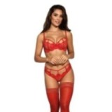 BH Rot V-8981 von Axami | Fesselliebe.de