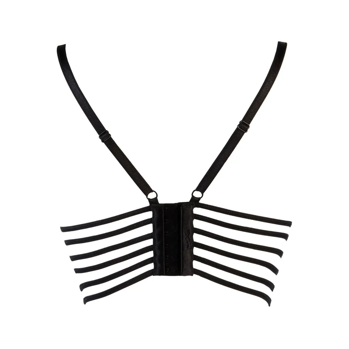 V-9491 Bustier Schwarz von Axami | Fesselliebe.de