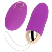 Vibratoren mit Fernbedienung